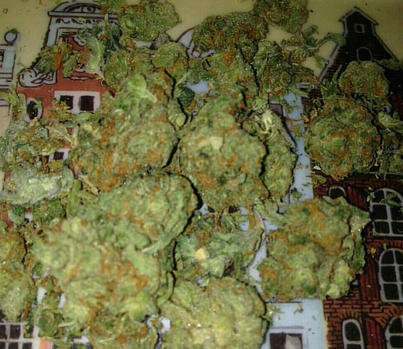 Buy medical marijuana strains,Hash oil ,og kush