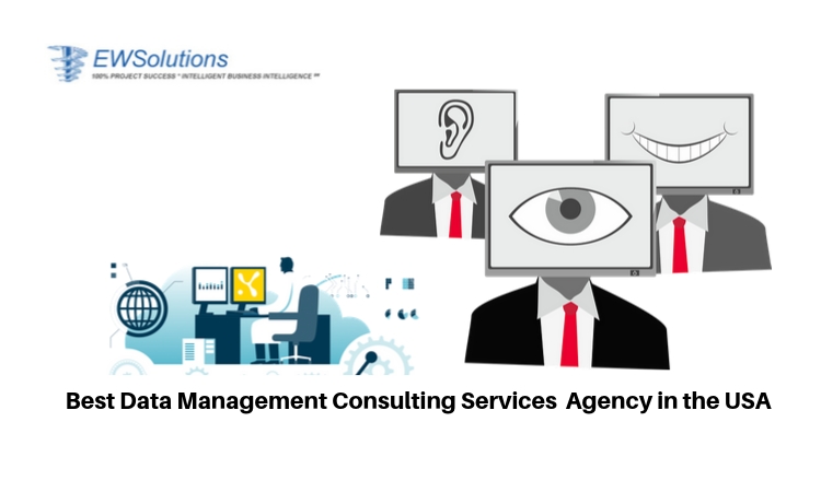 Data Management Consulting Services Agency, USA