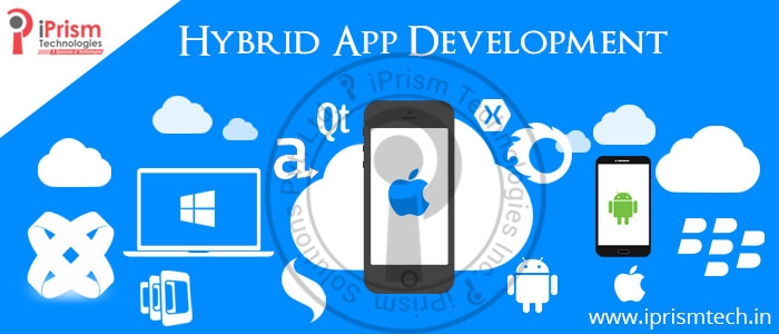 Best  native&amp;hybrid apps development company inUSA